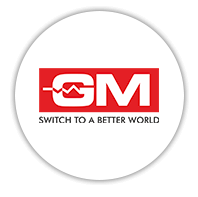 GM Switches